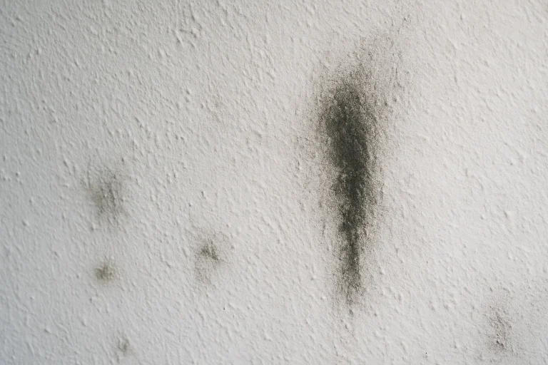 Mur blanc avec des traces de suie réapparues, détails visibles.